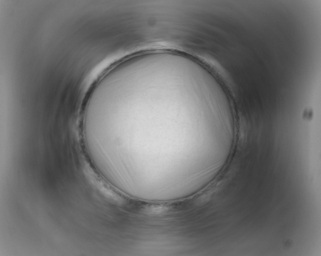 X0000113561278200910091406