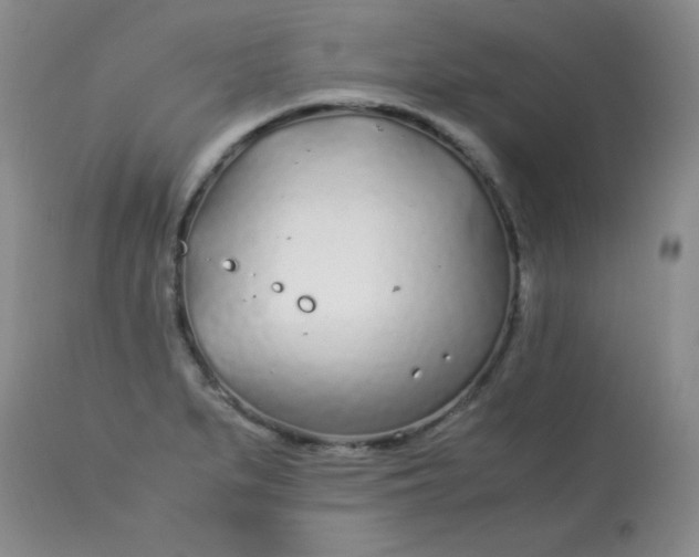 X0000113561279200910091406