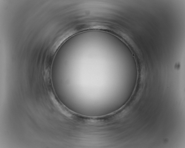 X0000113561281200910091406