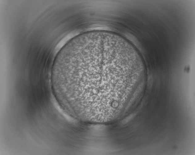 X0000113561282200910091406