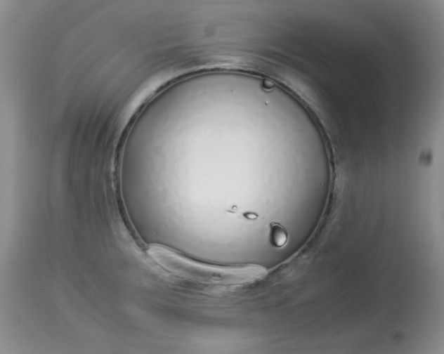 X0000113561283200910091406