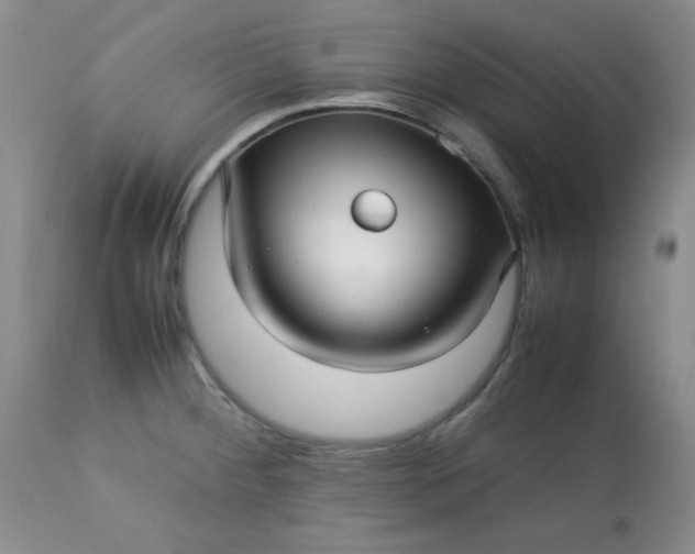 X0000113561284200910091406