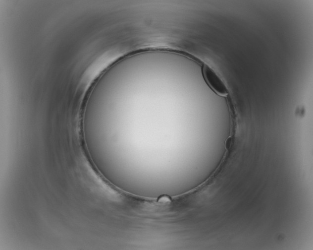 X0000113561285200910091406