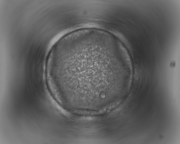 X0000113561286200910091406