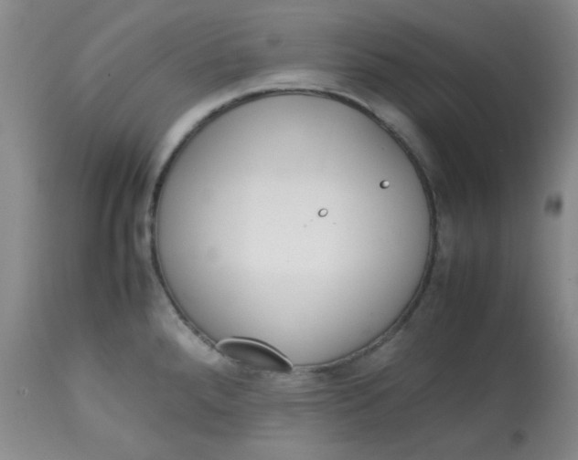 X0000113561288200910091406