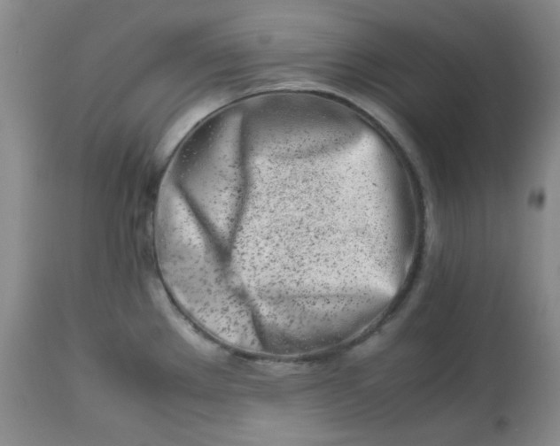 X0000113561289200910091406