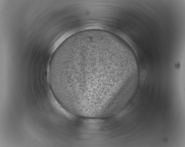 X0000113561290200910091406