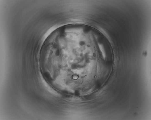 X0000113561291200910091406