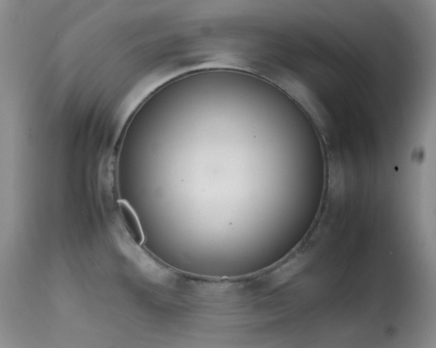 X0000113561292200910091406