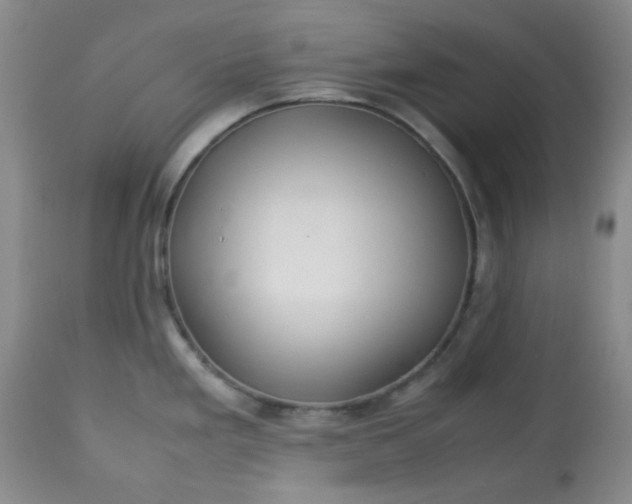 X0000113561293200910091406