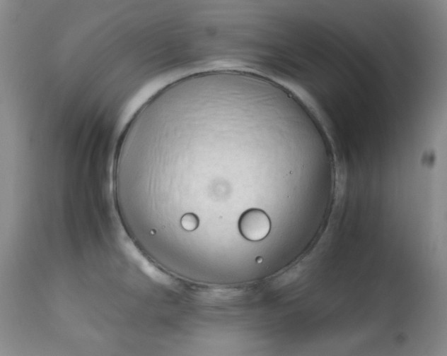 X0000113561294200910091406