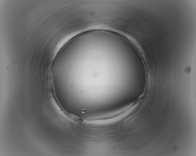 X0000113561295200910091406