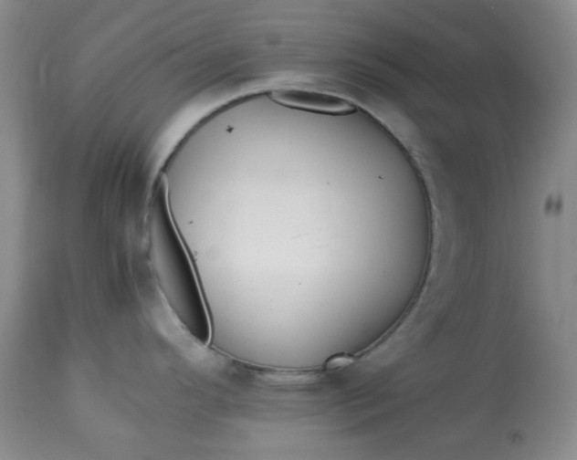 X0000113561296200910091406