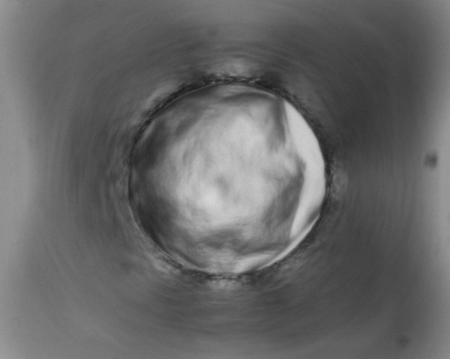 X0000113561297200910091405