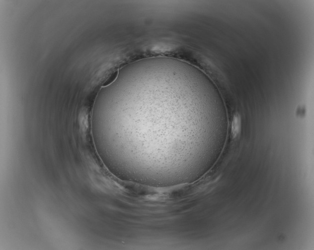 X0000113561299200910091405