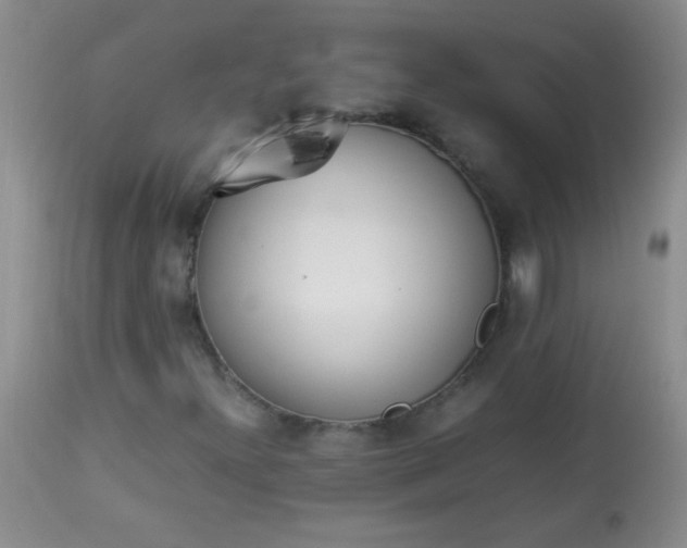 X0000113561300200910091405