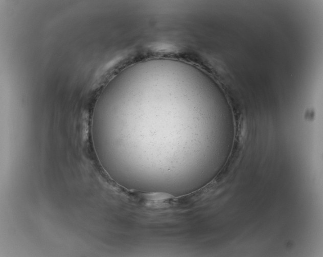 X0000113561301200910091405