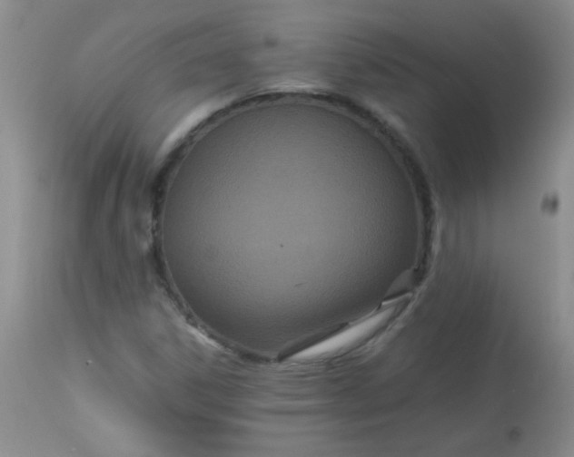 X0000113561306200910091405