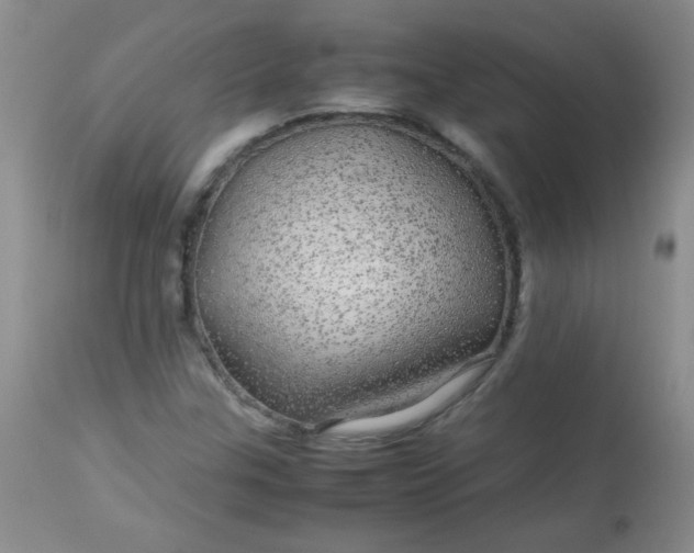 X0000113561307200910091405