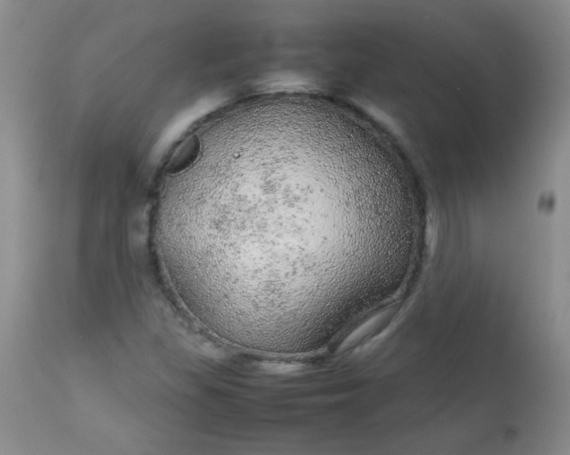 X0000113561309200910091405