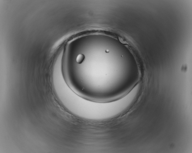 X0000113561310200910091405