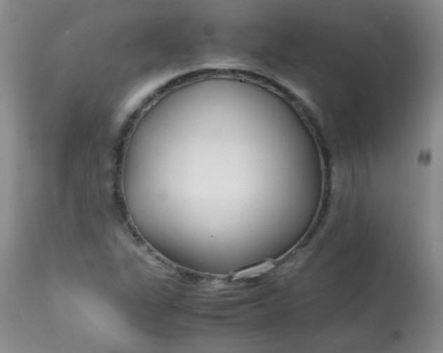 X0000113561311200910091405