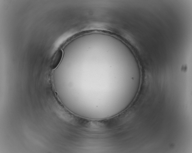 X0000113561312200910091405