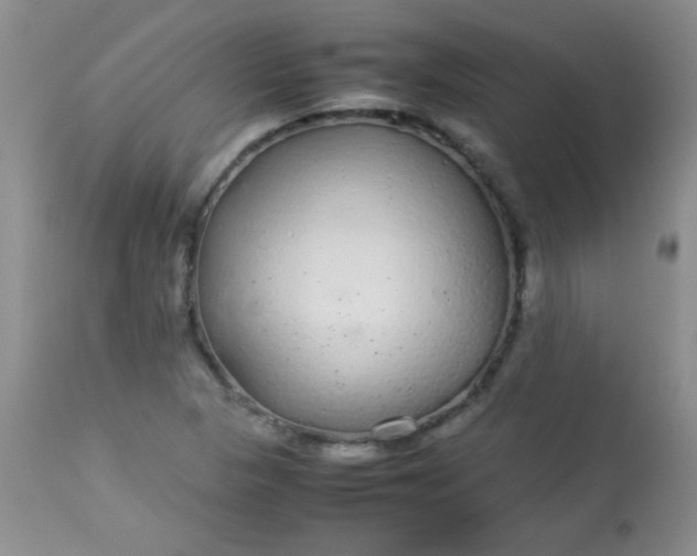 X0000113561313200910091405