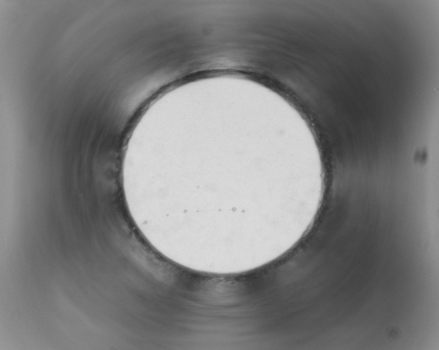 X0000113561314200910091405