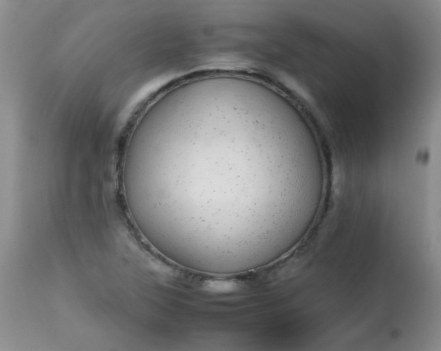 X0000113561315200910091405