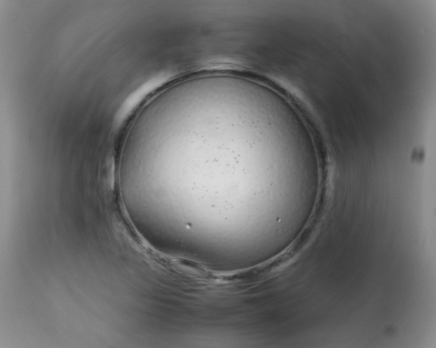 X0000113561317200910091405