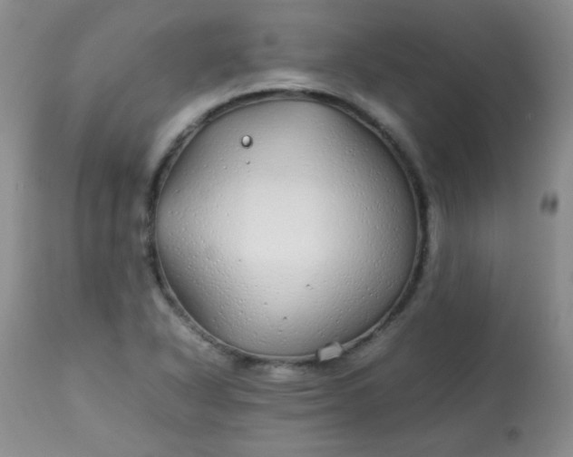 X0000113561318200910091405