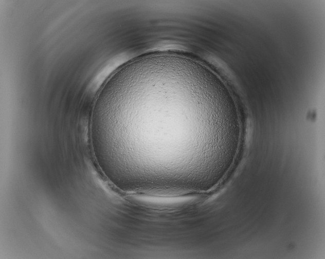 X0000113561321200910091405