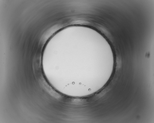 X0000113561322200910091405