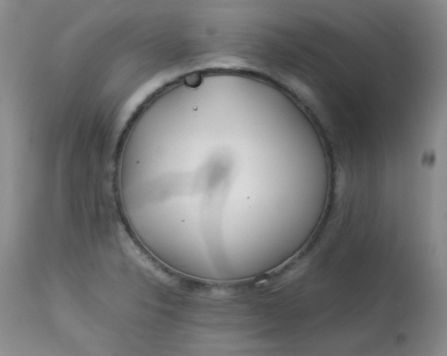 X0000113561326200910091405