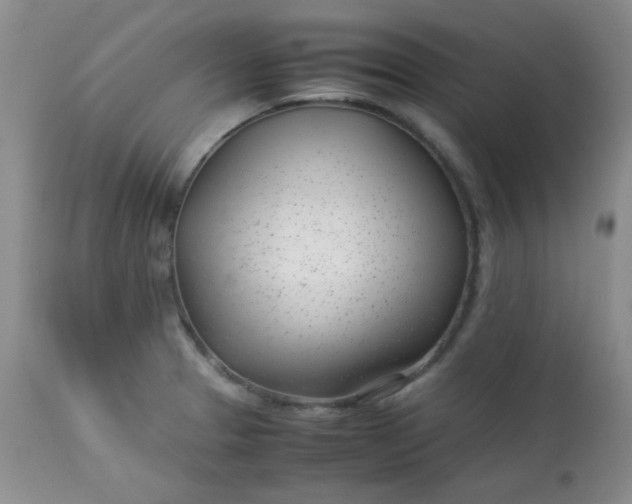 X0000113561329200910091406