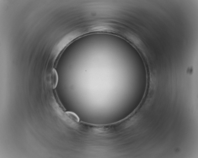 X0000113561330200910091406