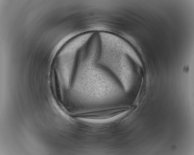 X0000113561331200910091406