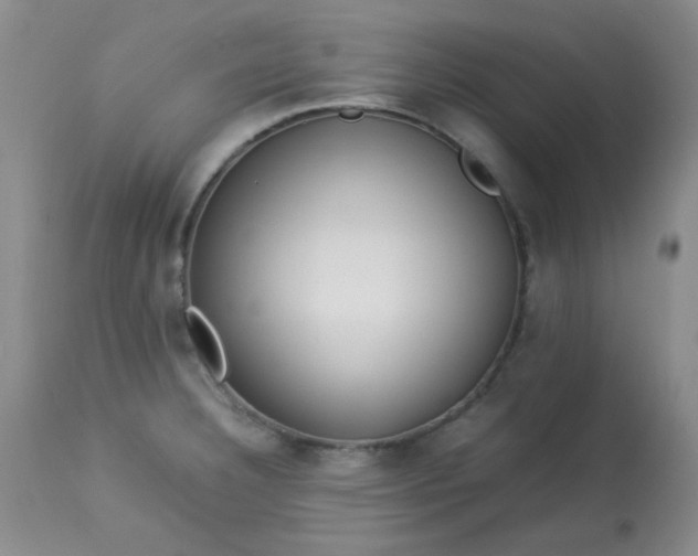 X0000113561332200910091406