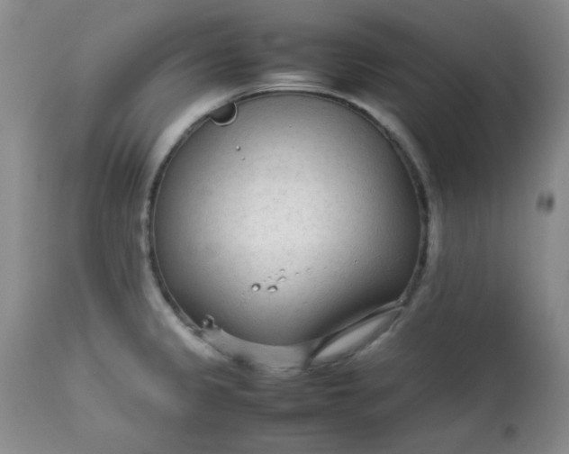 X0000113561333200910091406