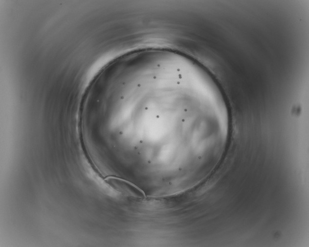 X0000113561334200910091406