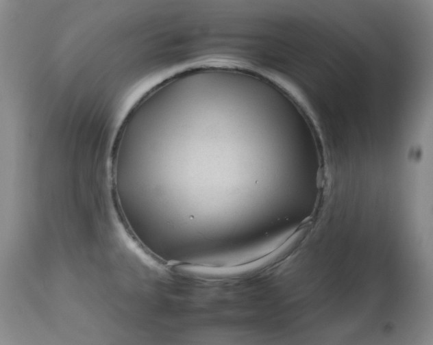 X0000113561335200910091406