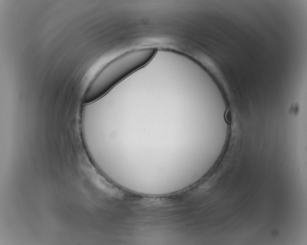 X0000113561336200910091406