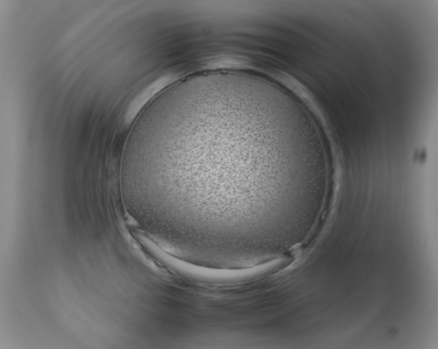 X0000113561337200910091406