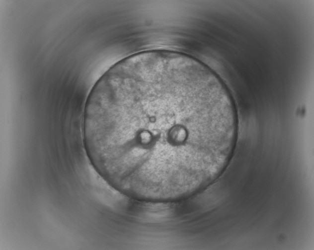 X0000113561338200910091406