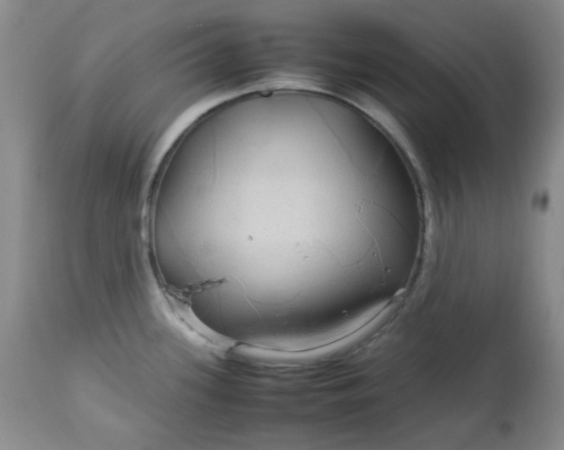 X0000113561339200910091406