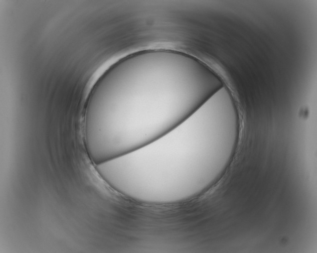 X0000113561340200910091406