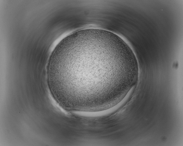 X0000113561341200910091406