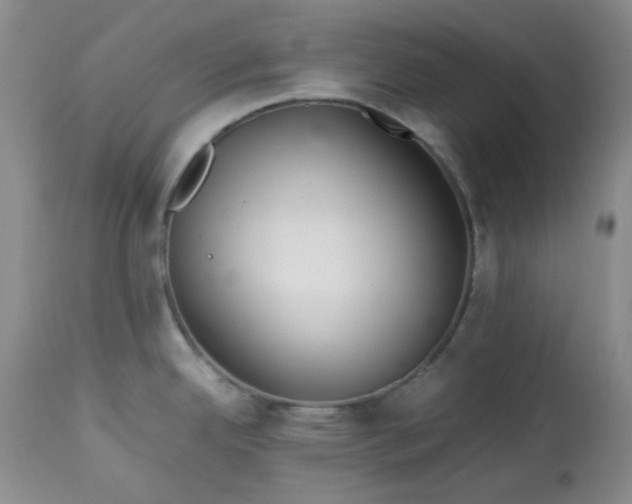 X0000113561342200910091406