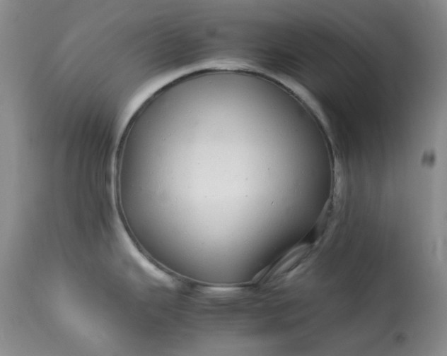 X0000113561343200910091406